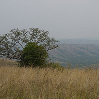 Photo de Rwanda - Akagera